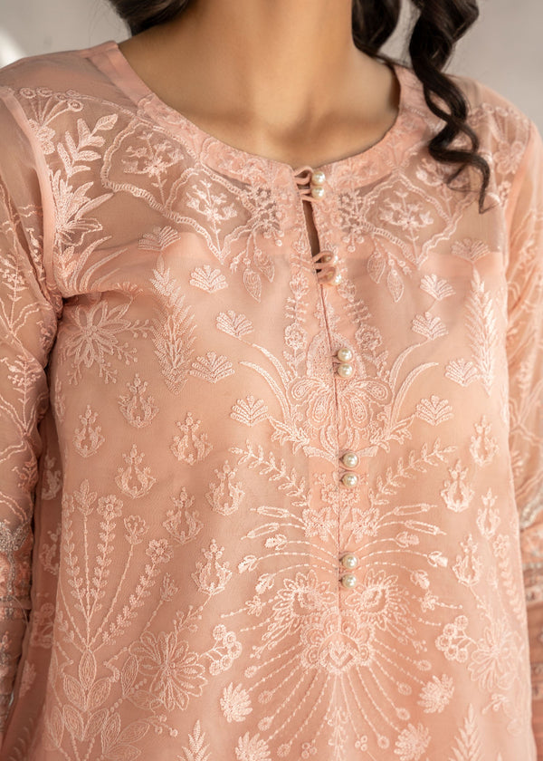 Chiffon and Organza Embroidered Suit