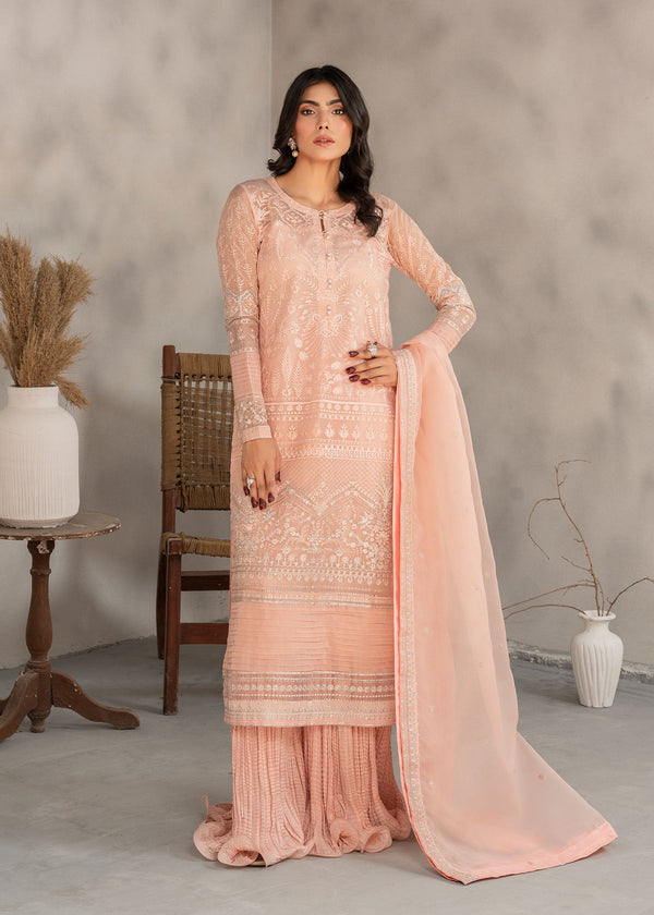 Chiffon and Organza Embroidered Suit