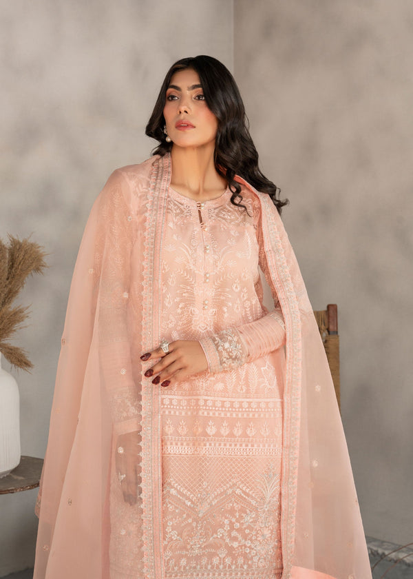 Chiffon and Organza Embroidered Suit