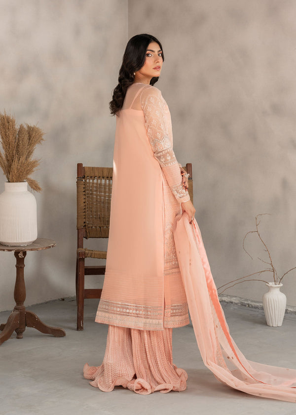 Chiffon and Organza Embroidered Suit